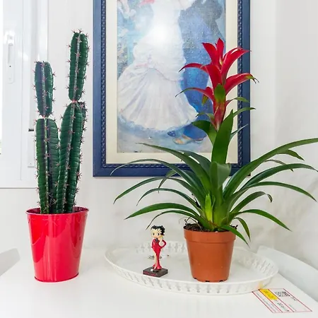 Olletas Studio Malaga